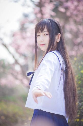 青楼十二房在线观看免费版电视剧全集