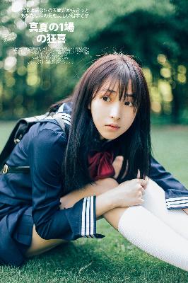 追风者电视剧免费观看