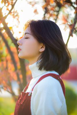 春潮烂漫海棠红