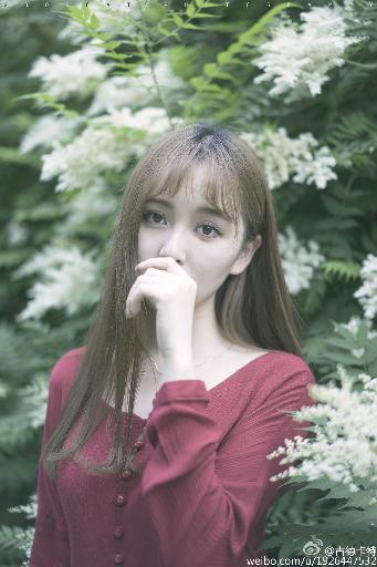 免费动漫51官网动漫