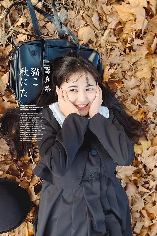 GOGOGO免费完整国语版