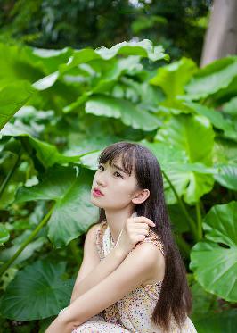 春潮烂漫海棠红