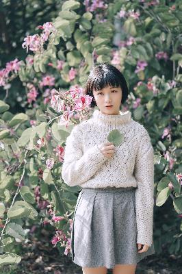 爱情猎杀泰剧在线观看泰剧网免费